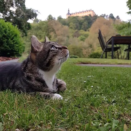 Koenigsquellenpark *